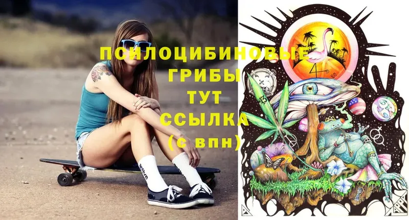 Галлюциногенные грибы Psilocybe  даркнет сайт  mega сайт  Ленинск 